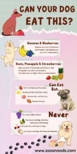 Training - Dog diet