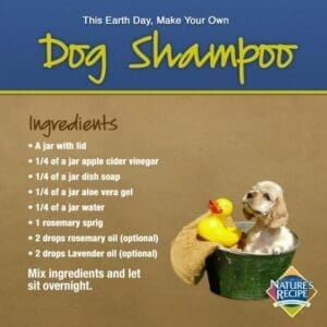 DIY Dog Shampoo