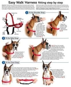 Harness 2