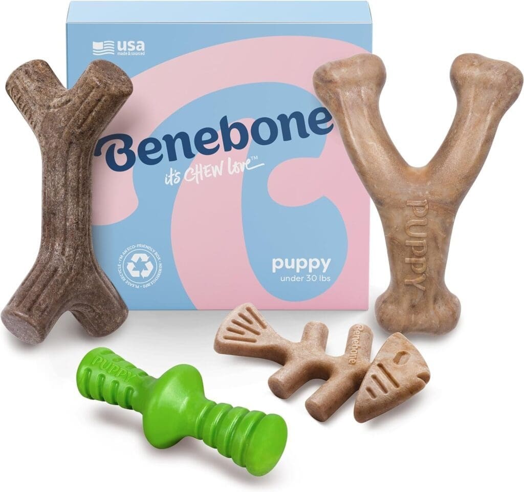 Benebone Durable Dog Chew Toy Box for Aggressive Chewers with Wishbone, Fishbone, Stick Zaggler, Medium