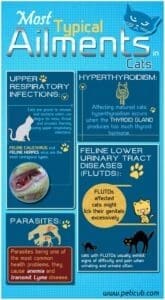 Feline Health