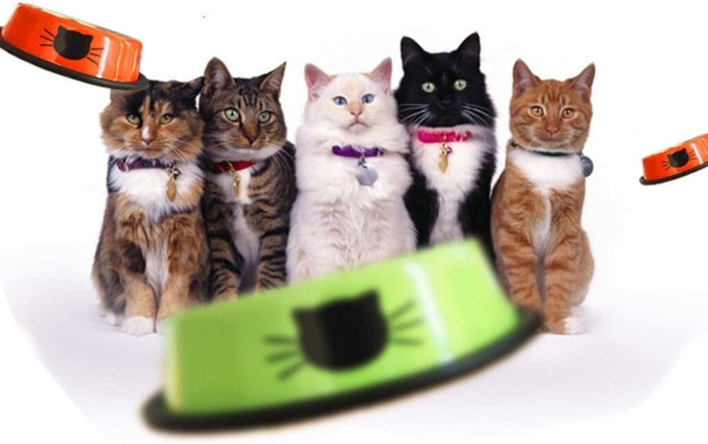 SUOXU Stainless Steel Non-Slip Cat Bowl,Color Multi-purpose Cat Food Bowl Pet Water Bowl Cat Feeding Bowl, Set of 3 Metal Cat Bowls (Black*2/red)