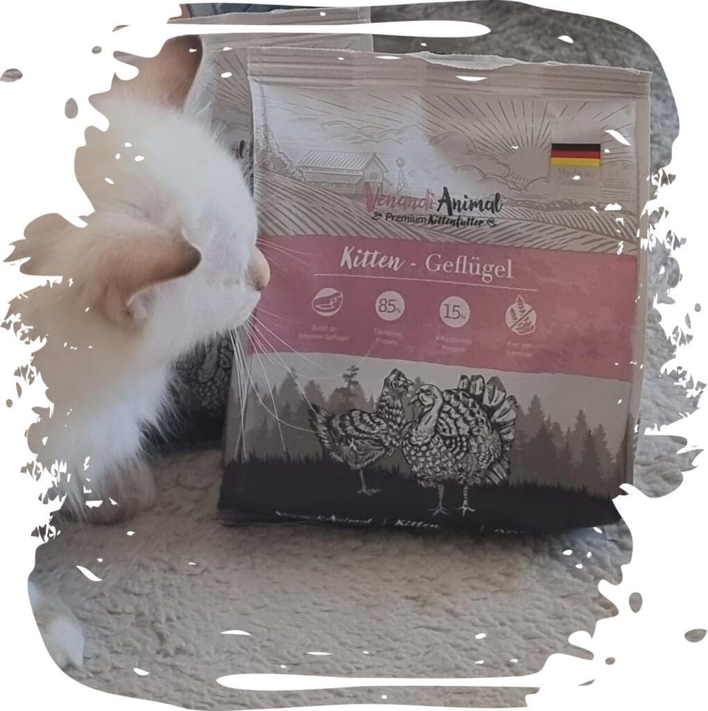 Venandi Animal | Premium dry food for cats | Kitten 0,3 kg | grain-free with lots of fresh meat nature