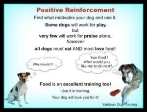 Reward-Based Training 